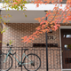 Illustration for article titled 2019-10-20 Looking for Fall Colours Around Downtown Kingston